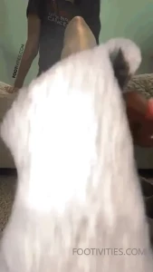 7778349