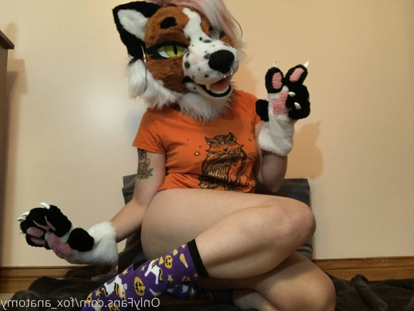 Andromeda [ fox_anatomy ] Onlyfans leaked photo 3312925 on Hotleaks.tv