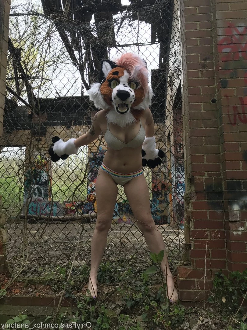 Andromeda [ fox_anatomy ] Onlyfans leaked photo 3314447 on Hotleaks.tv