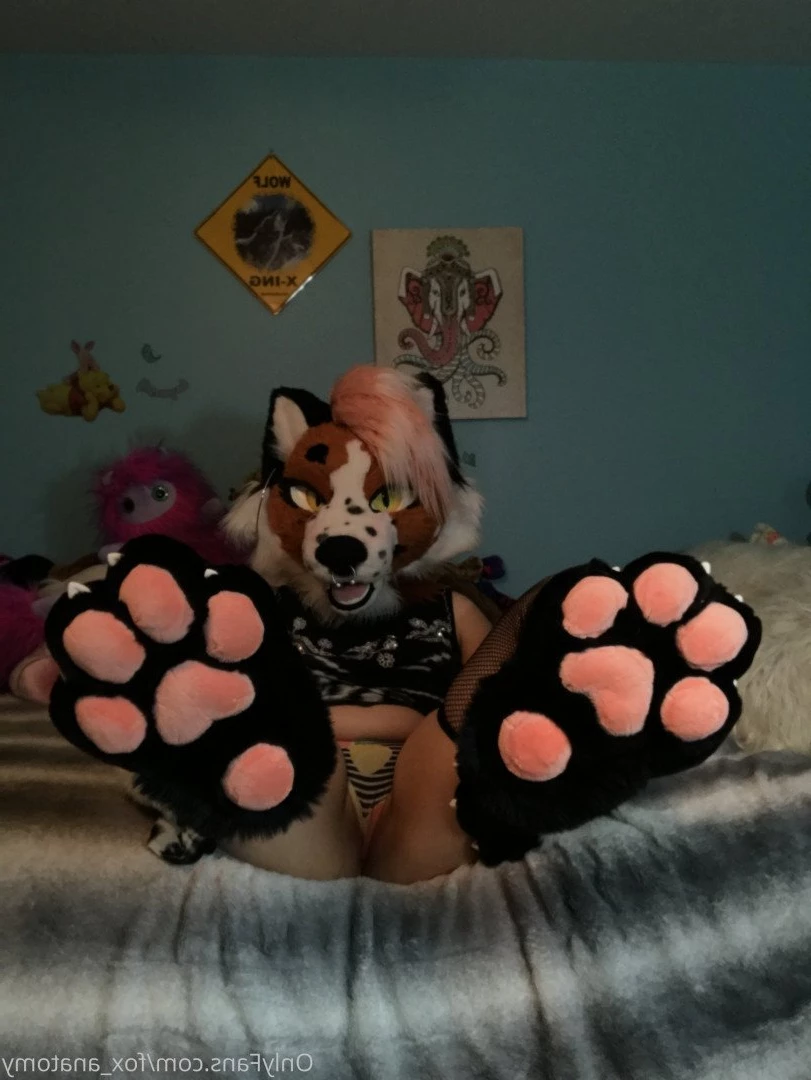 Andromeda [ fox_anatomy ] Onlyfans leaked photo 3315125 on Hotleaks.tv