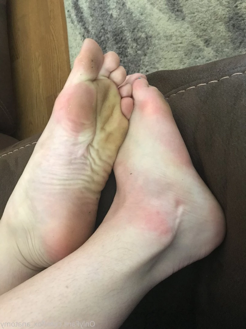 Andromeda [ fox_anatomy ] Onlyfans leaked photo 3315224 on Hotleaks.tv