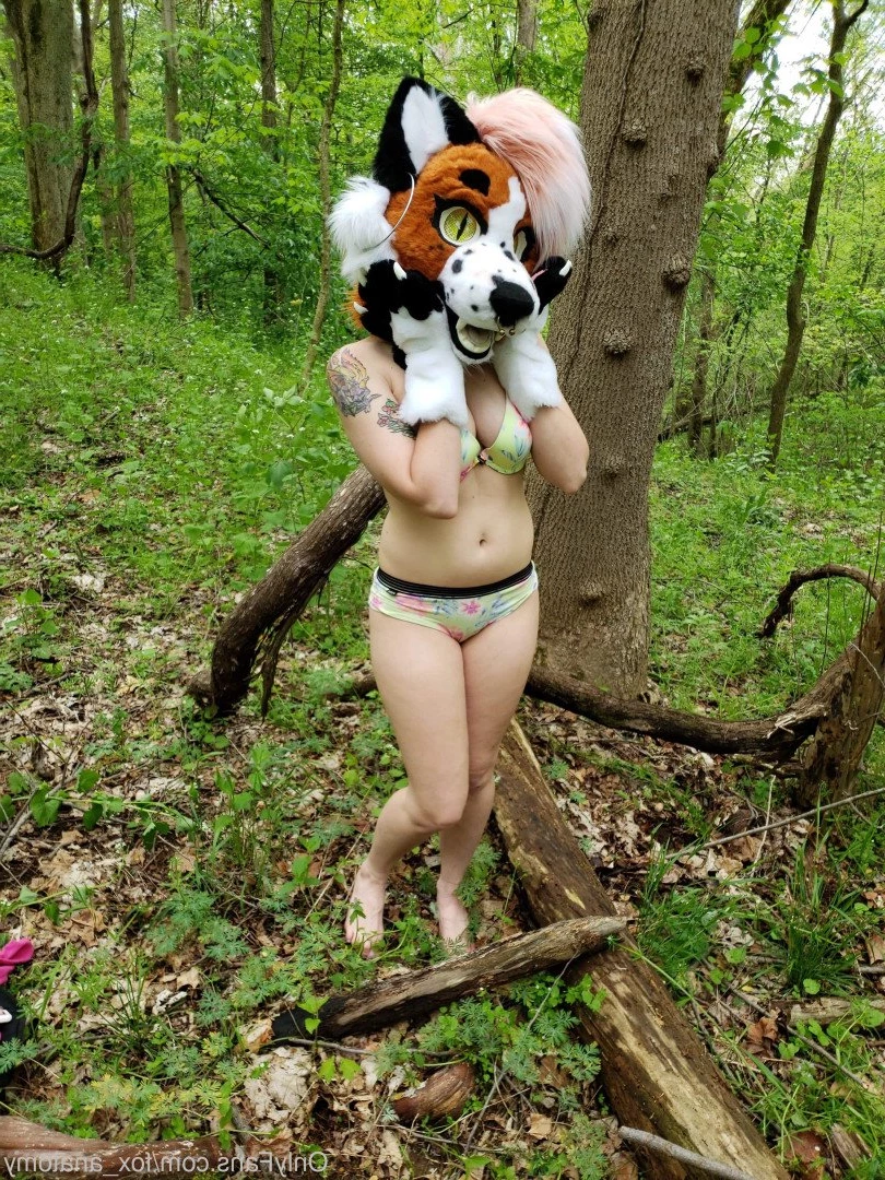 Andromeda [ fox_anatomy ] Onlyfans leaked photo 3315479 on Hotleaks.tv
