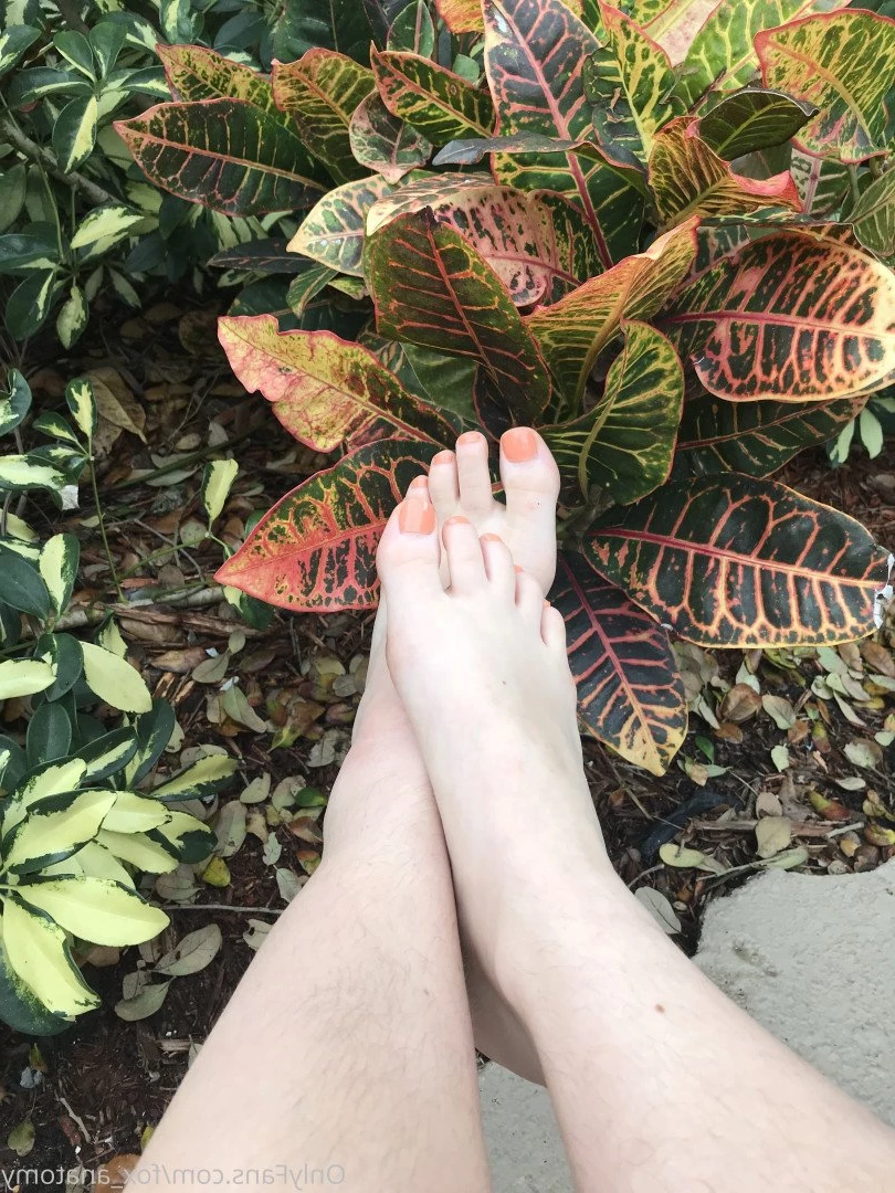 Andromeda [ fox_anatomy ] Onlyfans leaked photo 3315609 on Hotleaks.tv