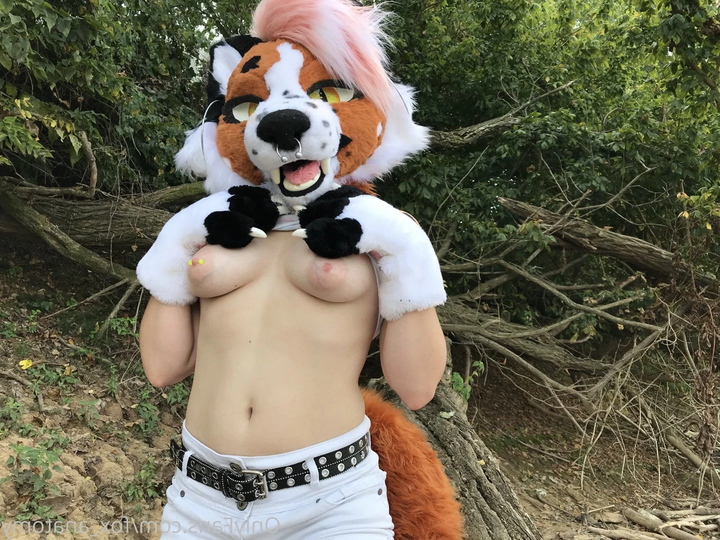 Andromeda [ fox_anatomy ] Onlyfans leaked photo 3316645 on Hotleaks.tv