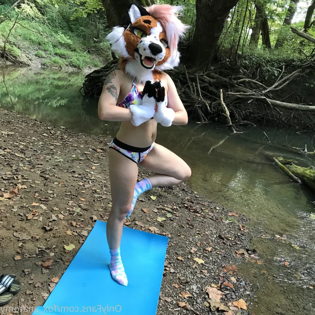 Andromeda [ fox_anatomy ] Onlyfans leaked photo 3317304 on Hotleaks.tv