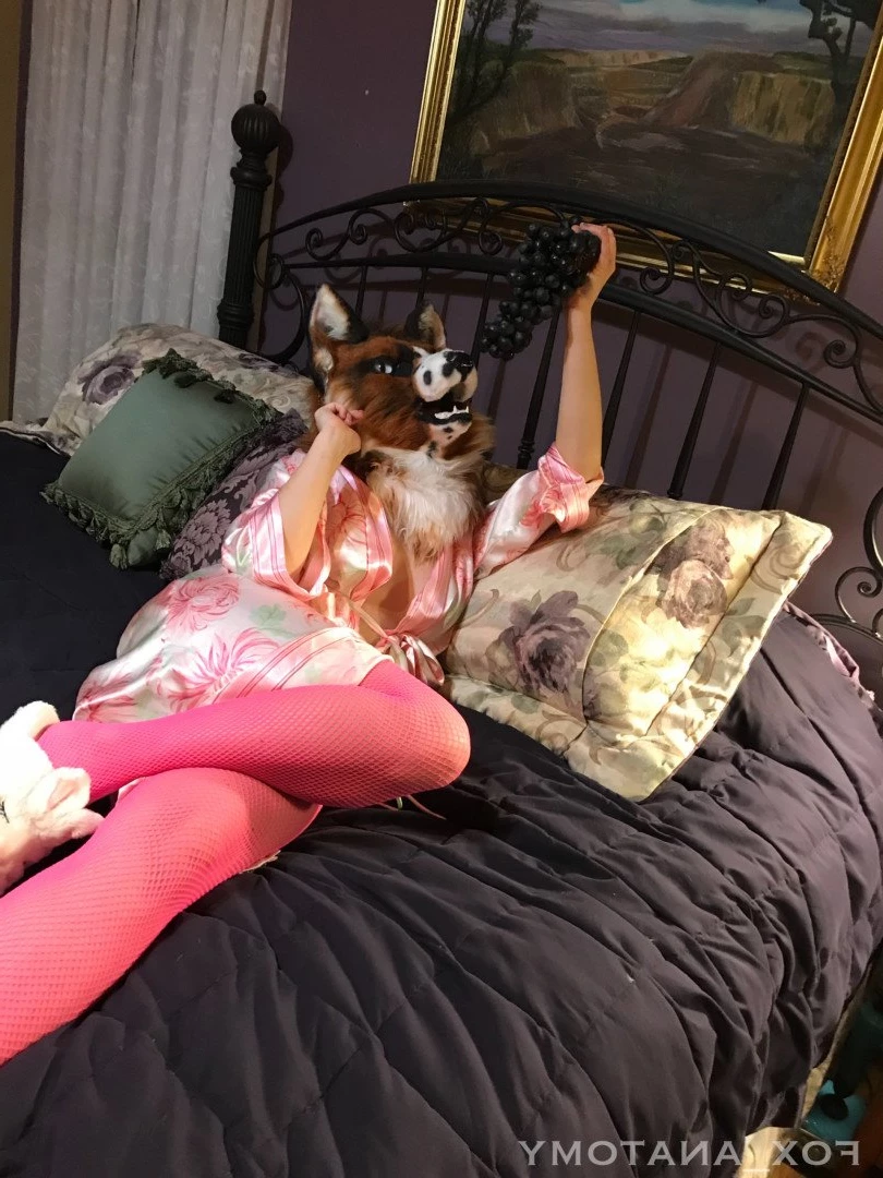 Andromeda [ fox_anatomy ] Onlyfans leaked photo 3317615 on Hotleaks.tv