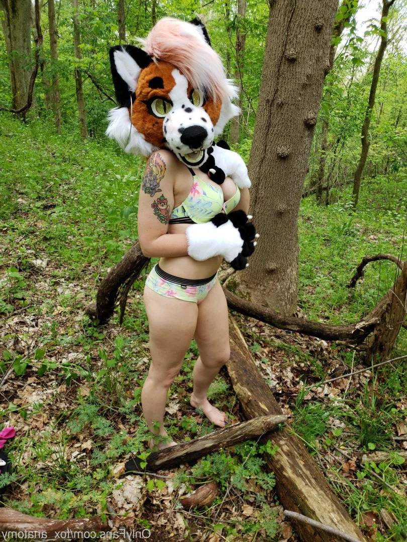 Andromeda [ fox_anatomy ] Onlyfans leaked photo 3317723 on Hotleaks.tv