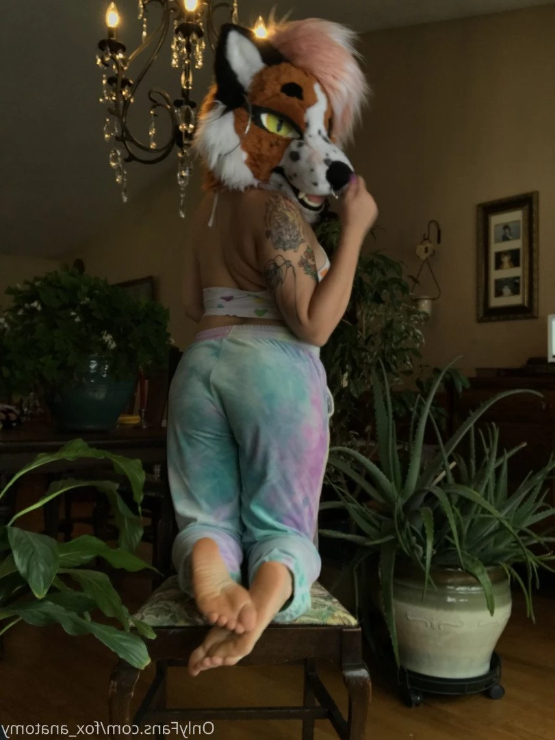 Andromeda [ fox_anatomy ] Onlyfans leaked photo 3317804 on Hotleaks.tv