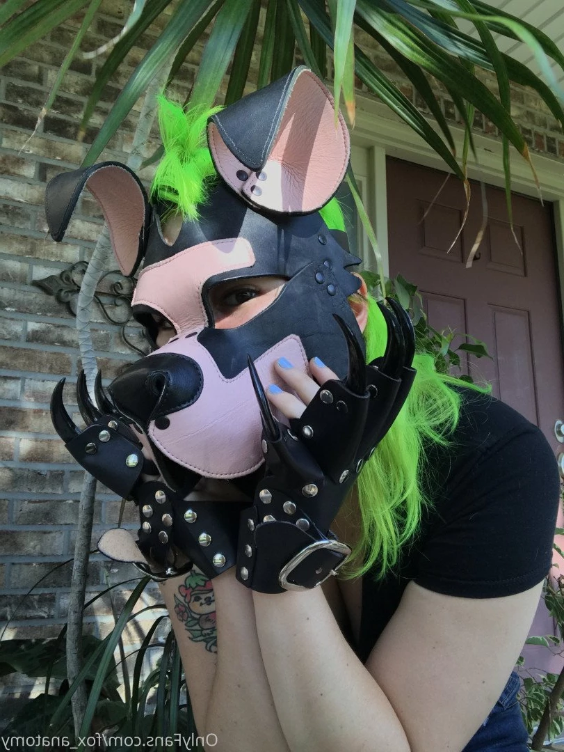 Andromeda [ fox_anatomy ] Onlyfans leaked photo 3318931 on Hotleaks.tv