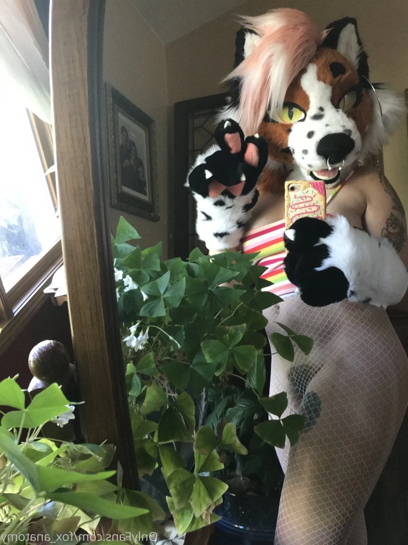 Andromeda [ fox_anatomy ] Onlyfans leaked photo 3320155 on Hotleaks.tv