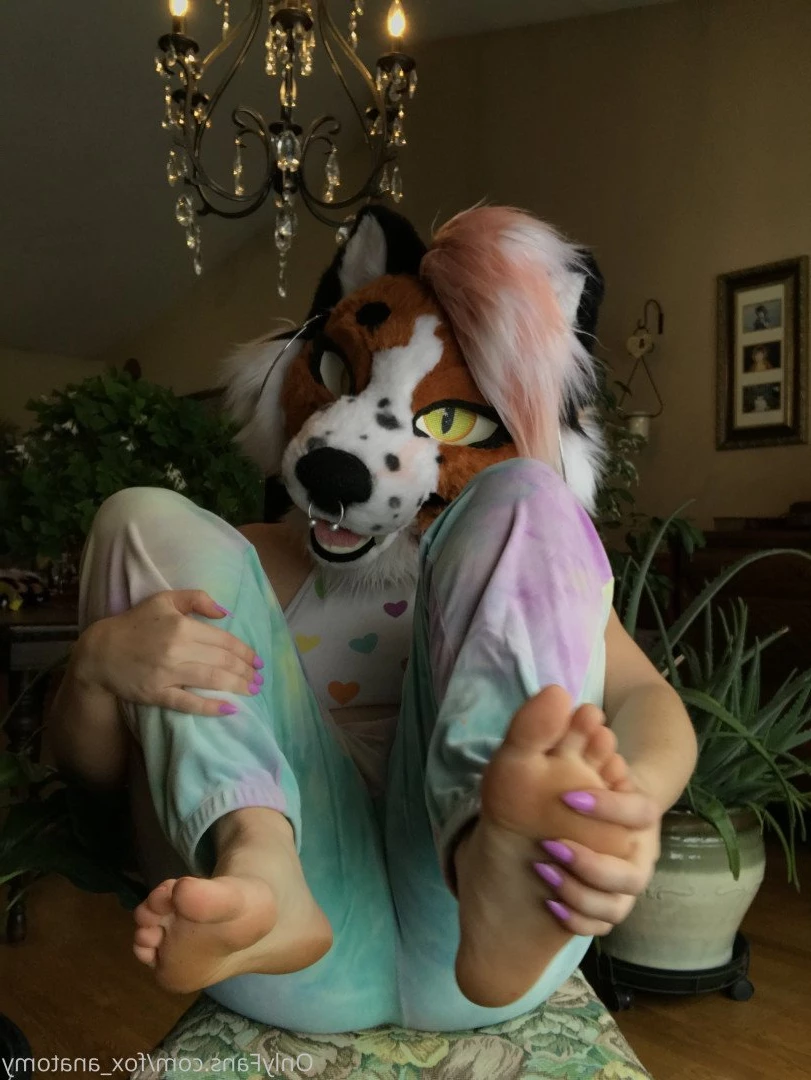 Andromeda [ fox_anatomy ] Onlyfans leaked photo 3320488 on Hotleaks.tv