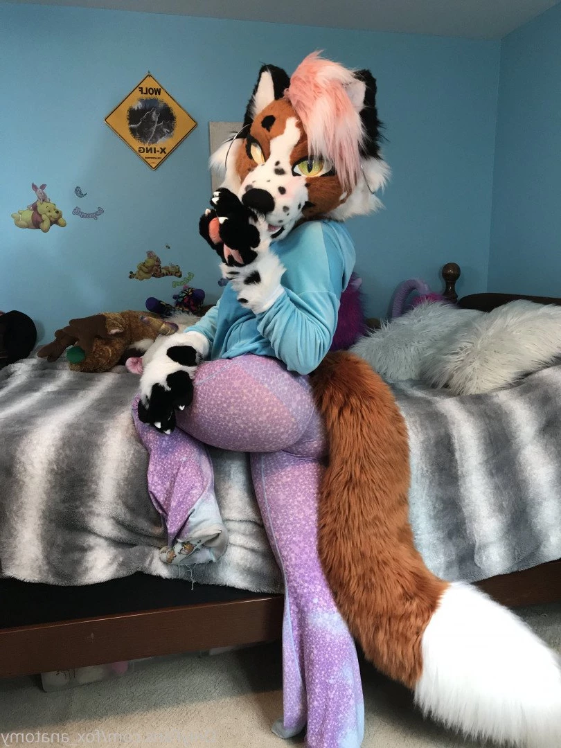 Andromeda [ fox_anatomy ] Onlyfans leaked photo 3320951 on Hotleaks.tv