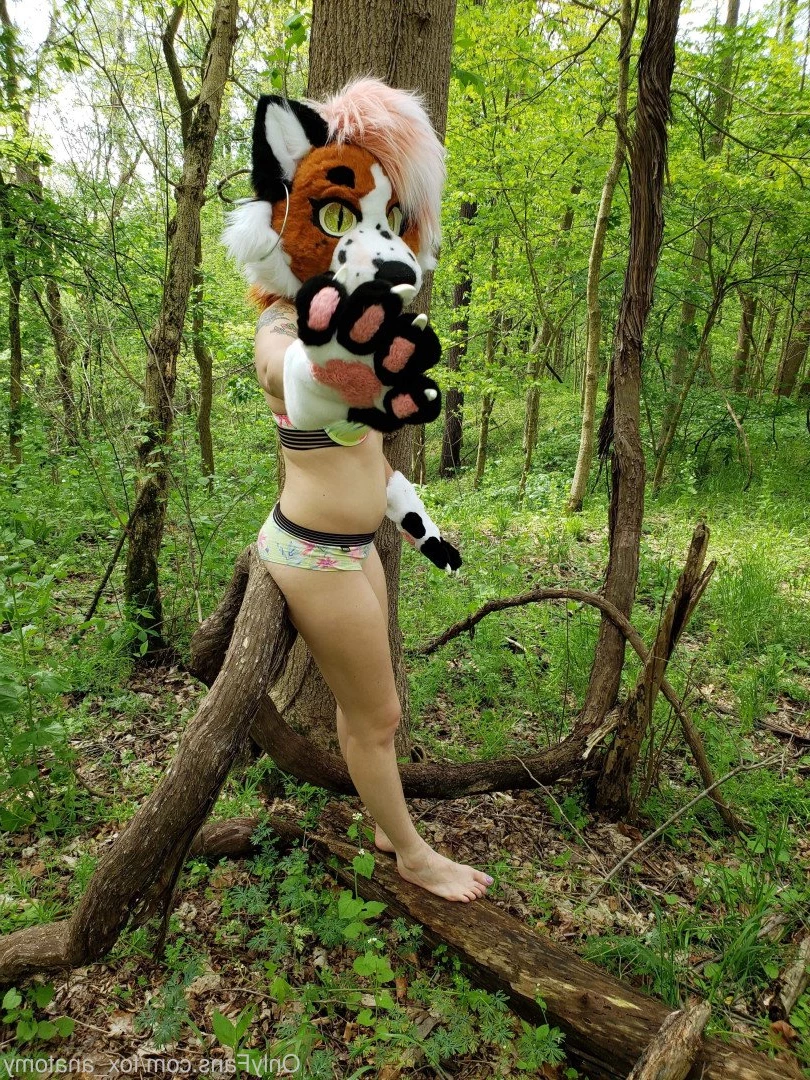 Andromeda [ fox_anatomy ] Onlyfans leaked photo 3321244 on Hotleaks.tv