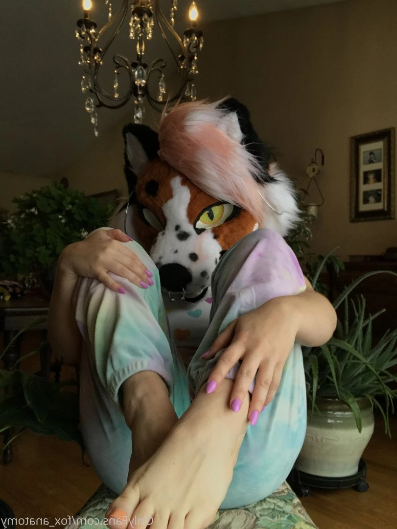 Andromeda [ fox_anatomy ] Onlyfans leaked photo 3321504 on Hotleaks.tv