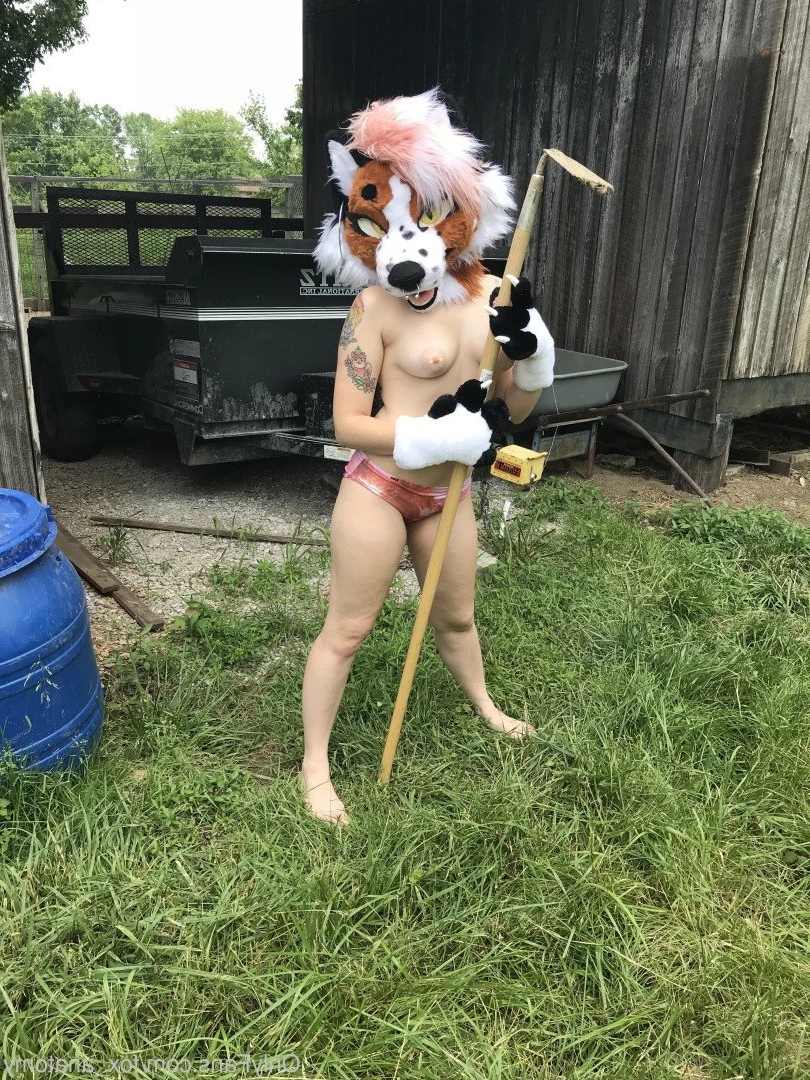 Andromeda [ fox_anatomy ] Onlyfans leaked photo 3322001 on Hotleaks.tv