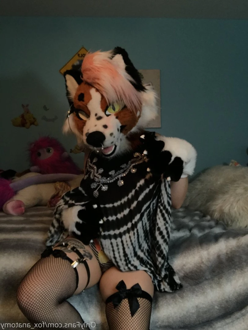 Andromeda [ fox_anatomy ] Onlyfans leaked photo 3323410 on Hotleaks.tv