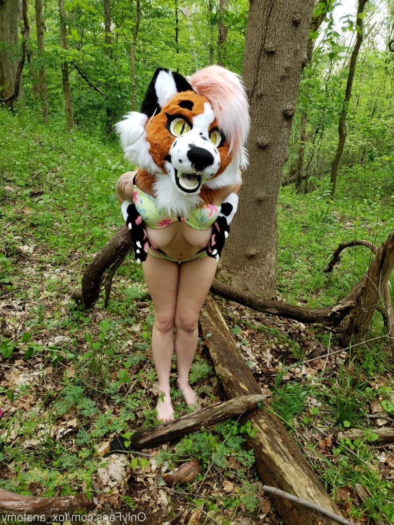 Andromeda [ fox_anatomy ] Onlyfans leaked photo 3324576 on Hotleaks.tv