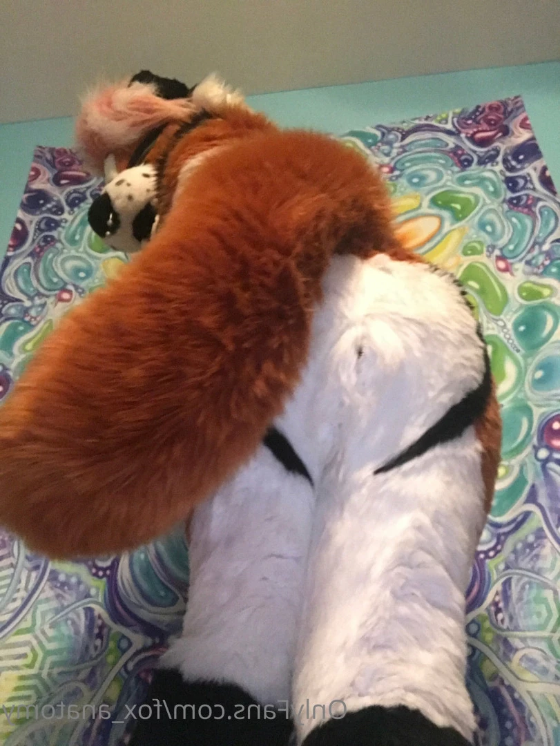 Andromeda [ fox_anatomy ] Onlyfans leaked photo 5940008 on Hotleaks.tv