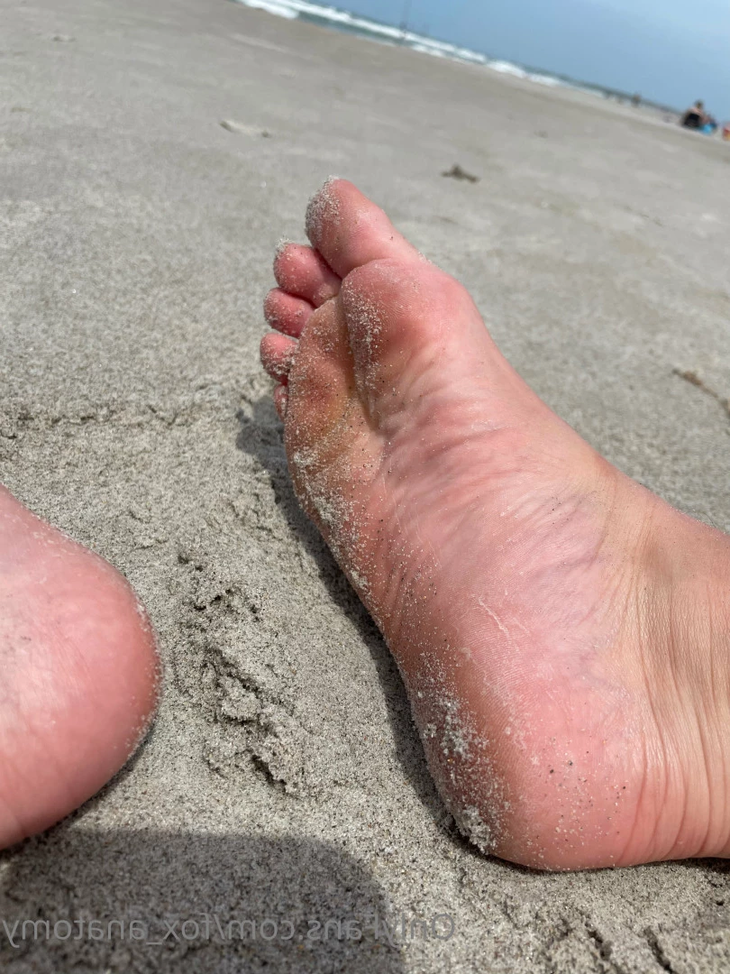Andromeda [ fox_anatomy ] Onlyfans leaked photo 5940359 on Hotleaks.tv
