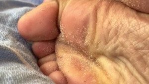 Pink Foxx [ foxxpink ] Onlyfans leaked video 3360975 on Hotleaks.tv