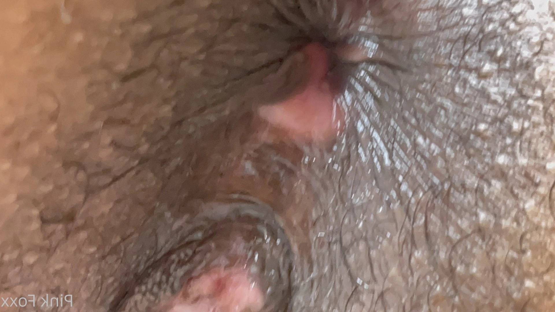 Pink Foxx [ foxxpink ] Onlyfans leaked photo 3451664 on Hotleaks.tv