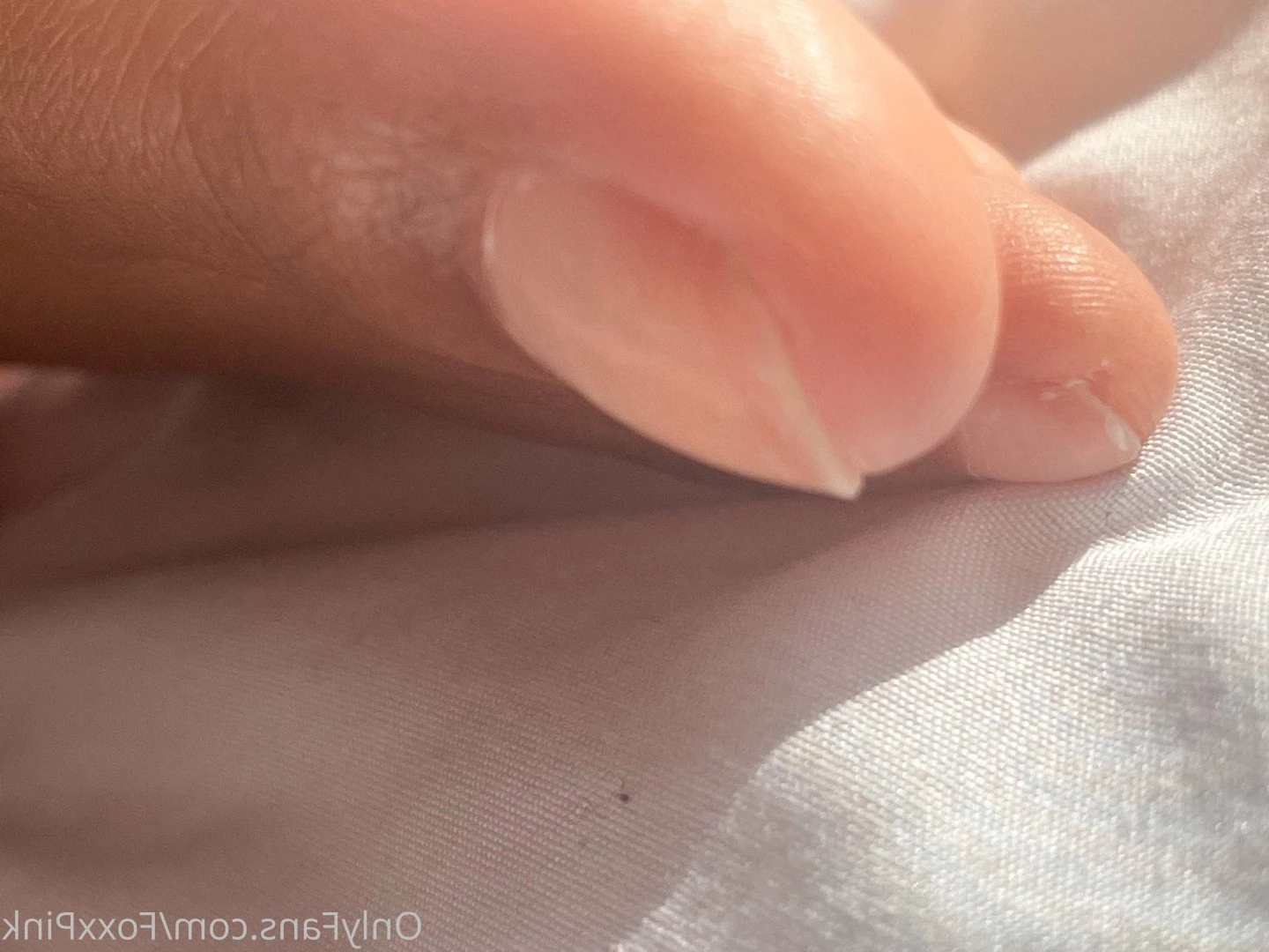 Pink Foxx [ foxxpink ] Onlyfans leaked photo 3456365 on Hotleaks.tv