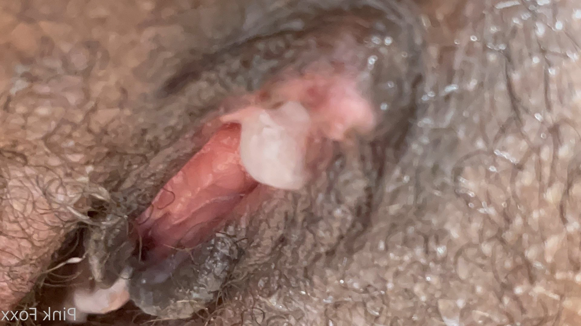Pink Foxx [ foxxpink ] Onlyfans leaked photo 3460627 on Hotleaks.tv
