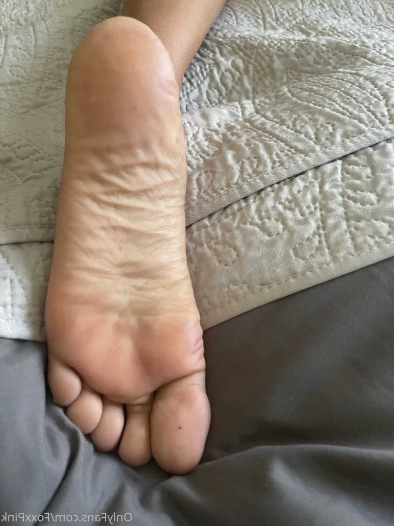 Pink Foxx [ foxxpink ] Onlyfans leaked photo 3462207 on Hotleaks.tv