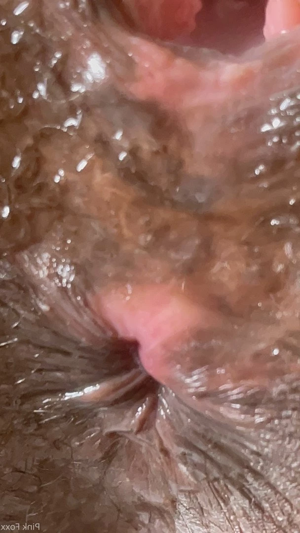 Pink Foxx [ foxxpink ] Onlyfans leaked photo 3462575 on Hotleaks.tv