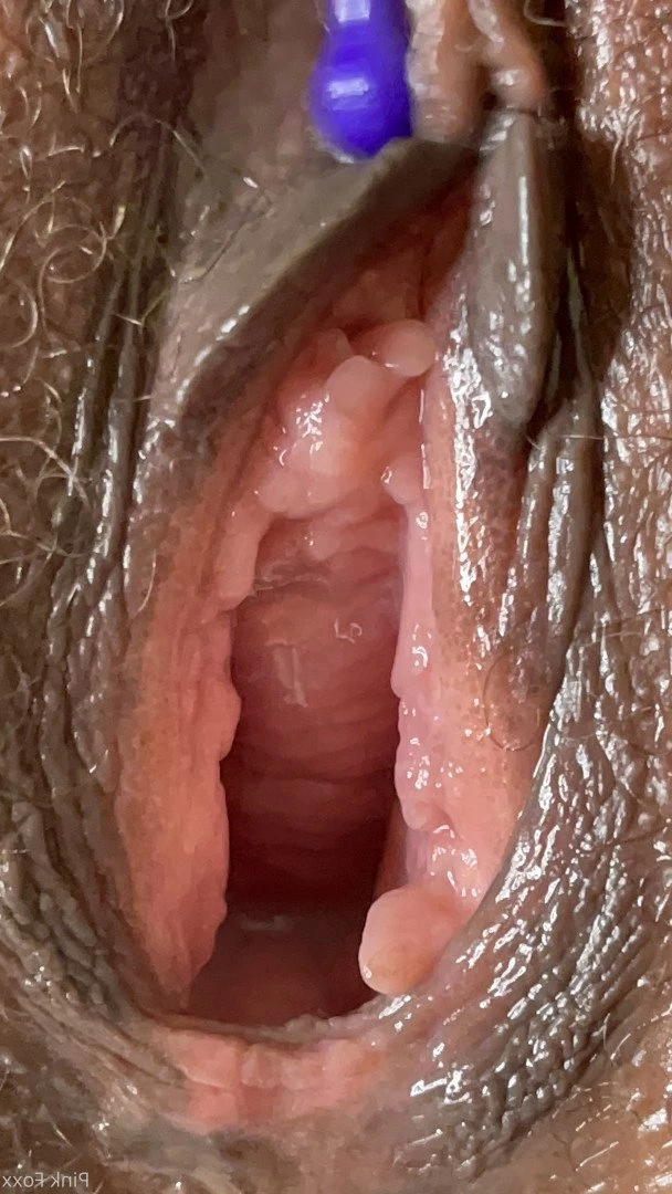 Pink Foxx [ foxxpink ] Onlyfans leaked photo 3478285 on Hotleaks.tv