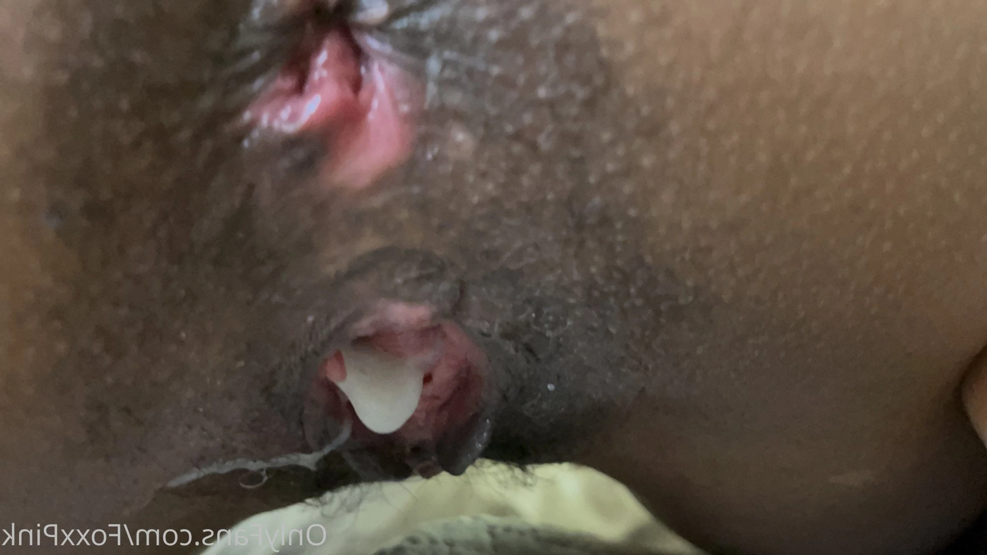 Pink Foxx [ foxxpink ] Onlyfans leaked photo 3514519 on Hotleaks.tv
