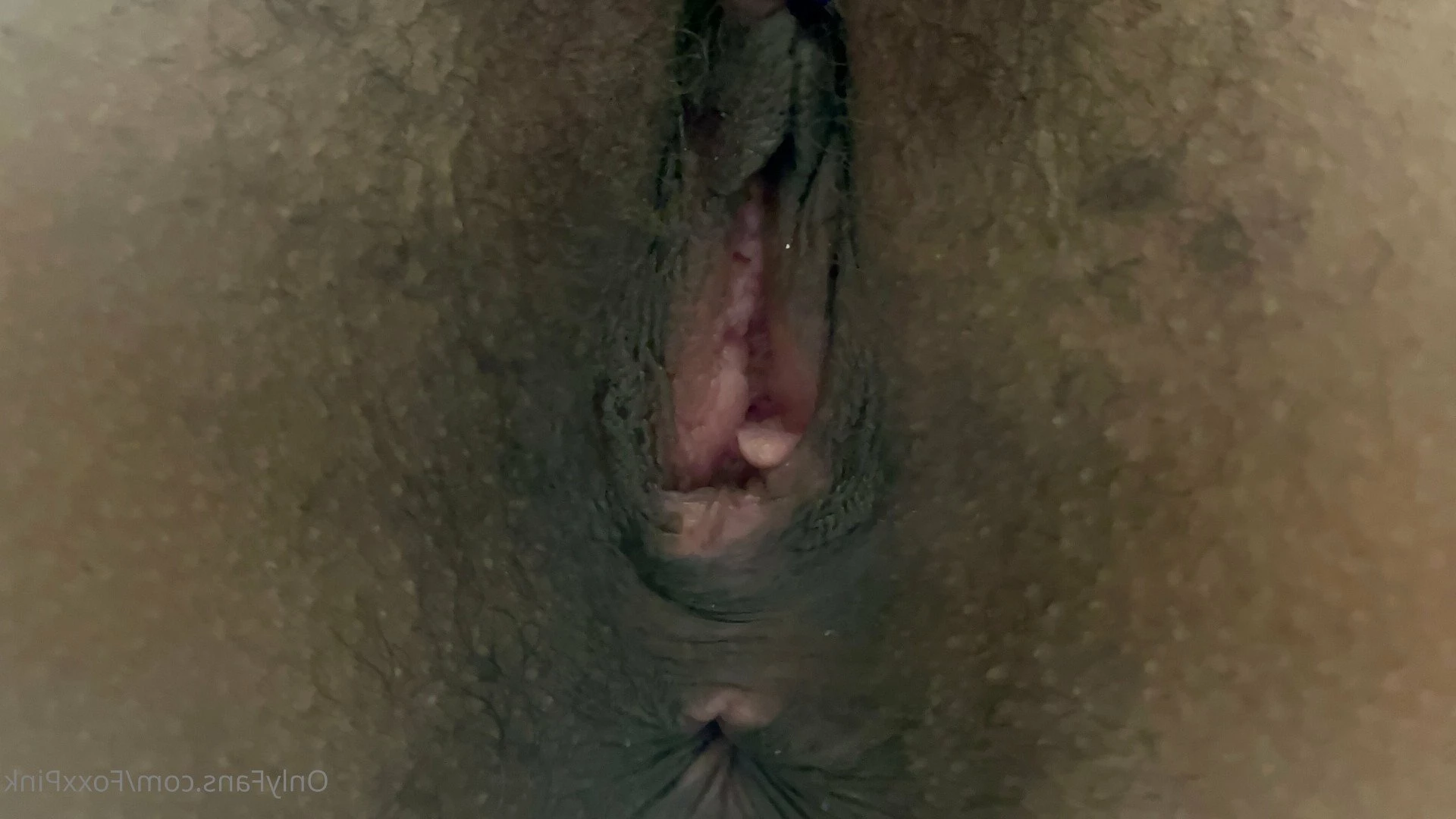 Pink Foxx [ foxxpink ] Onlyfans leaked photo 3519475 on Hotleaks.tv