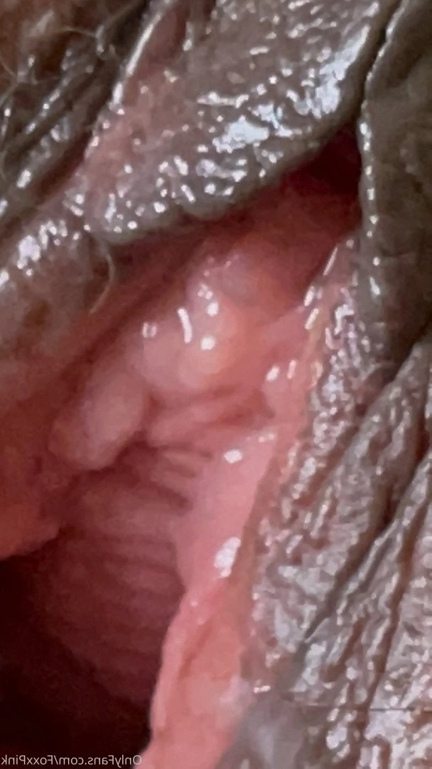 Pink Foxx [ foxxpink ] Onlyfans leaked photo 3530773 on Hotleaks.tv