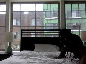 FreakMob Media [ freakmobmedia ] Onlyfans leaked video 3364461 on Hotleaks.tv