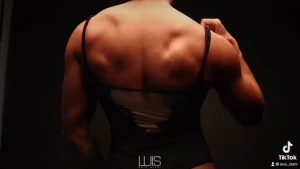 15162686