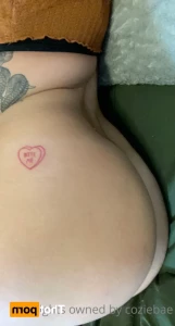 16197594
