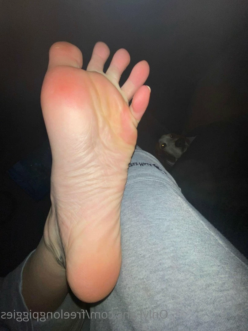 freelongpiggies Onlyfans leaked photo 3330206 on Hotleaks.tv