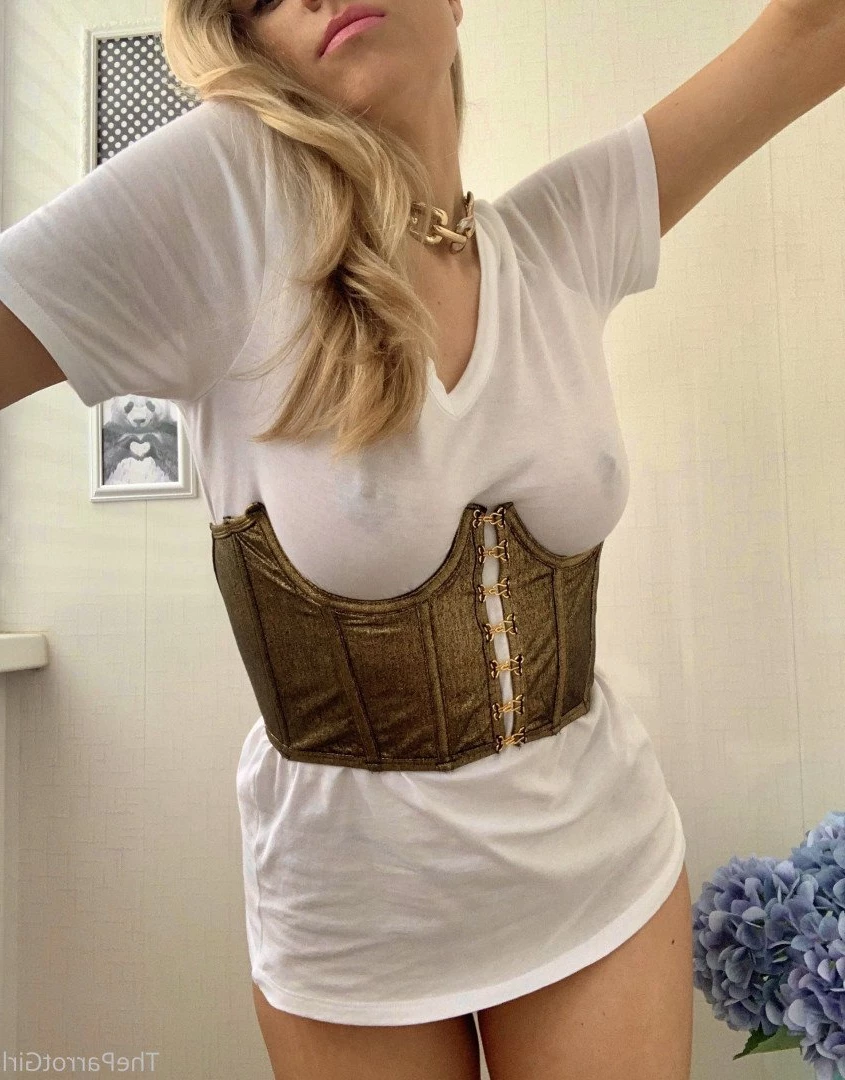 Lady Parrot [ freeparrot ] Onlyfans leaked photo 3380395 on Hotleaks.tv