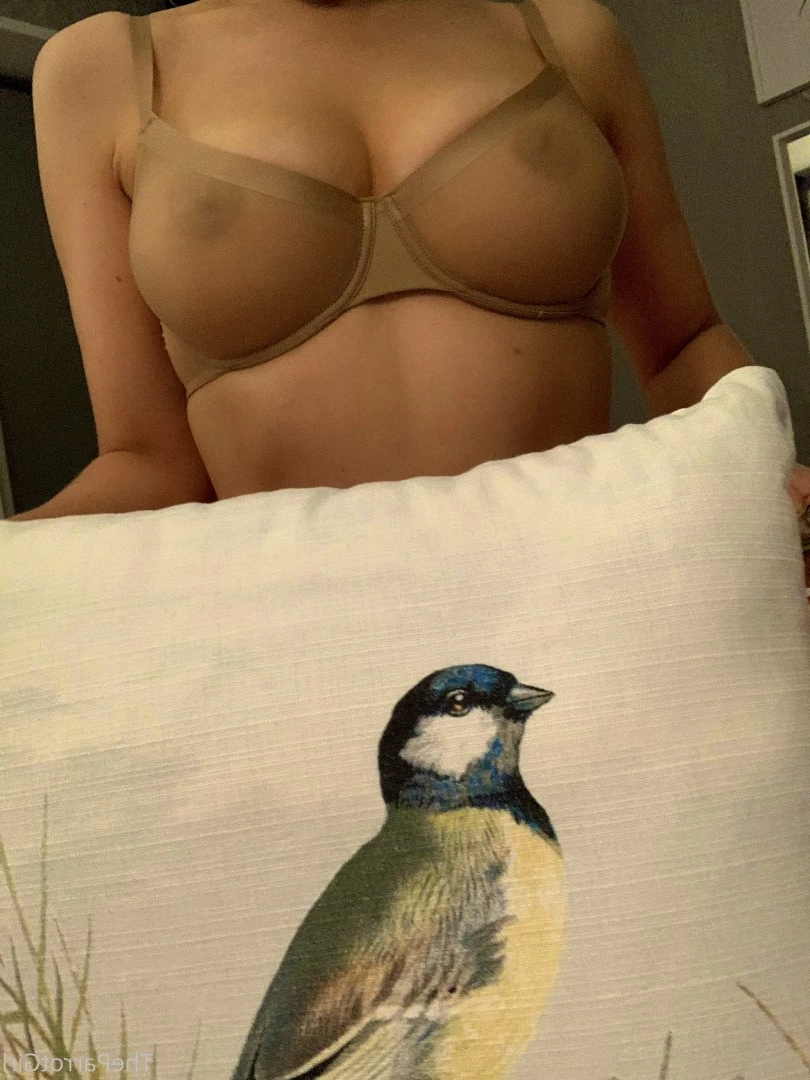 Lady Parrot [ freeparrot ] Onlyfans leaked photo 3384243 on Hotleaks.tv