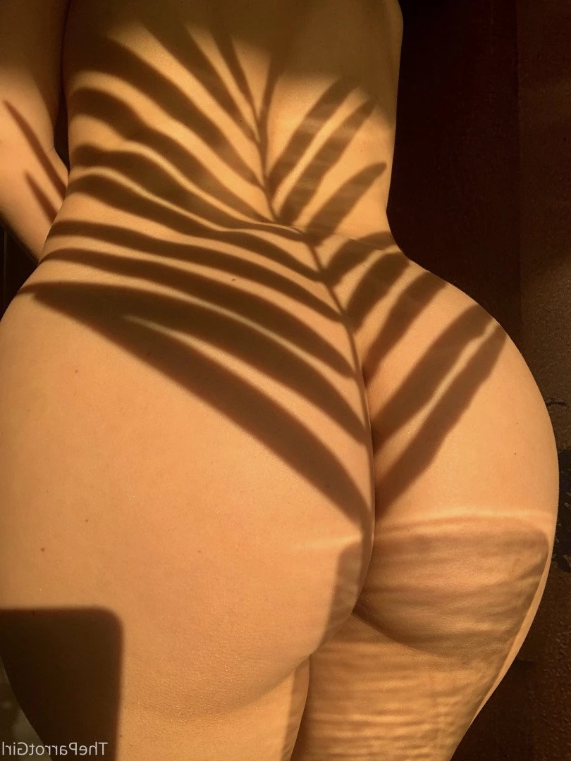 Lady Parrot [ freeparrot ] Onlyfans leaked photo 3384365 on Hotleaks.tv