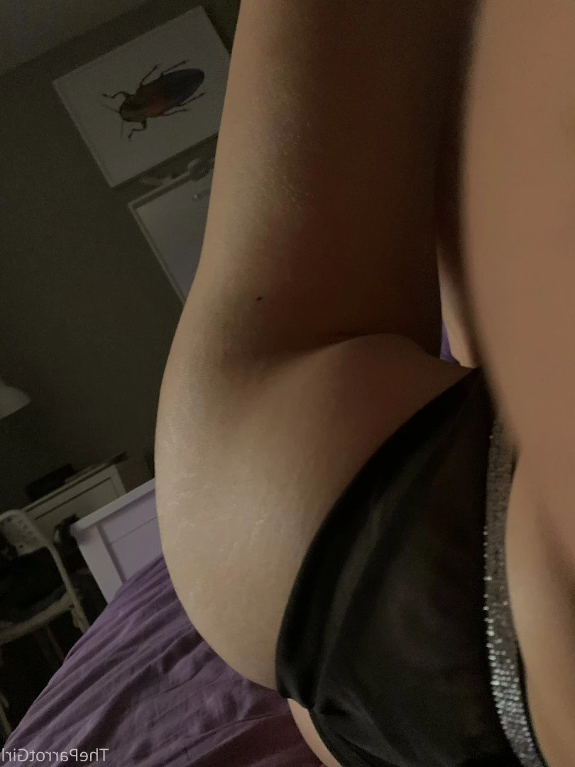 Lady Parrot [ freeparrot ] Onlyfans leaked photo 3385153 on Hotleaks.tv