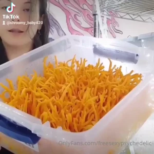 5370680