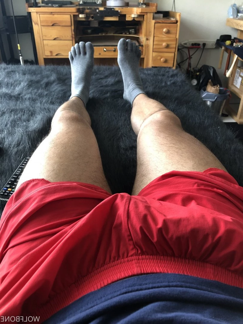 Mr. Wolf 🐺 🌟 [ frute_brute ] Onlyfans leaked photo 3189943 on Hotleaks.tv