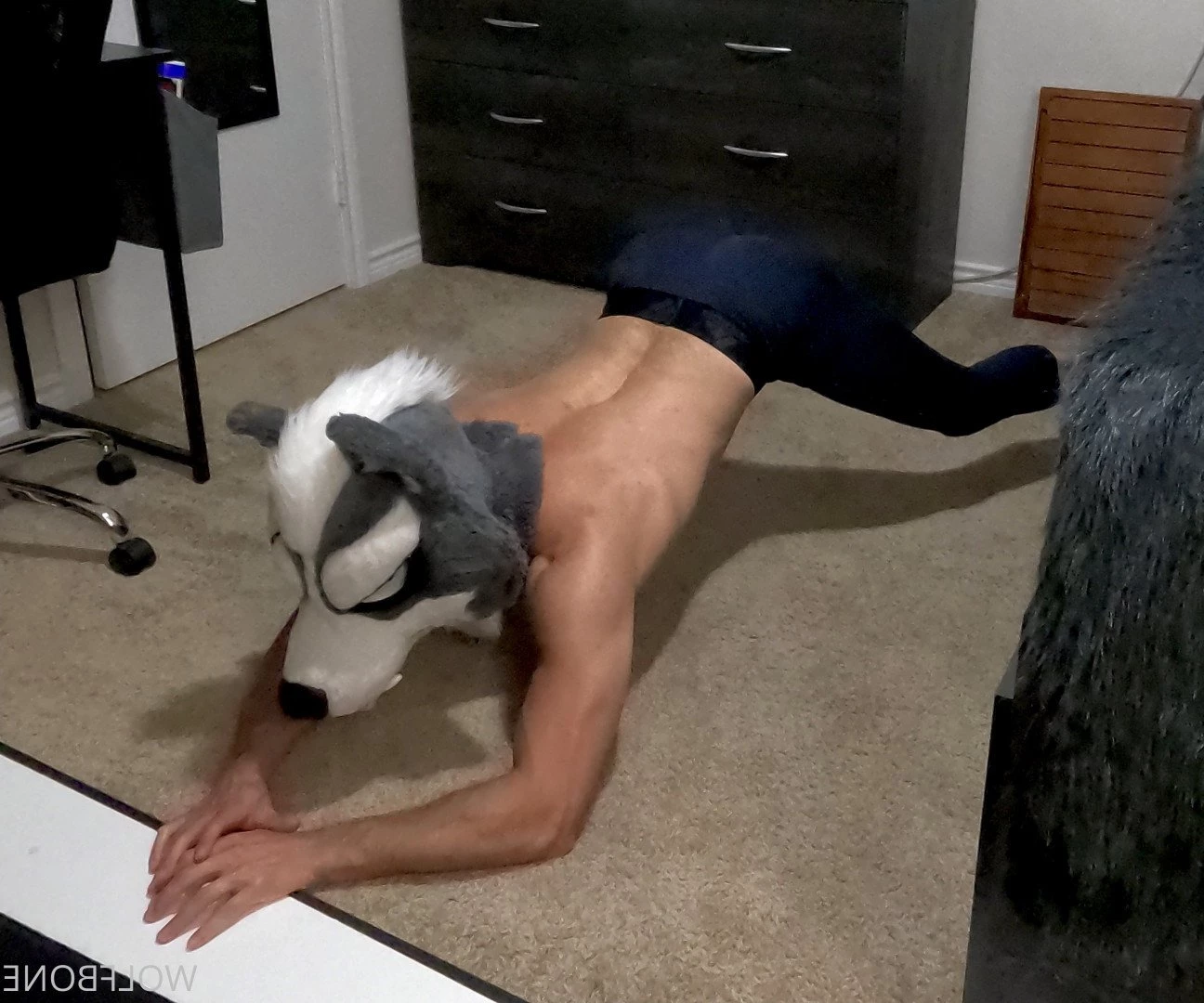 Mr. Wolf 🐺 🌟 [ frute_brute ] Onlyfans leaked photo 3189952 on Hotleaks.tv