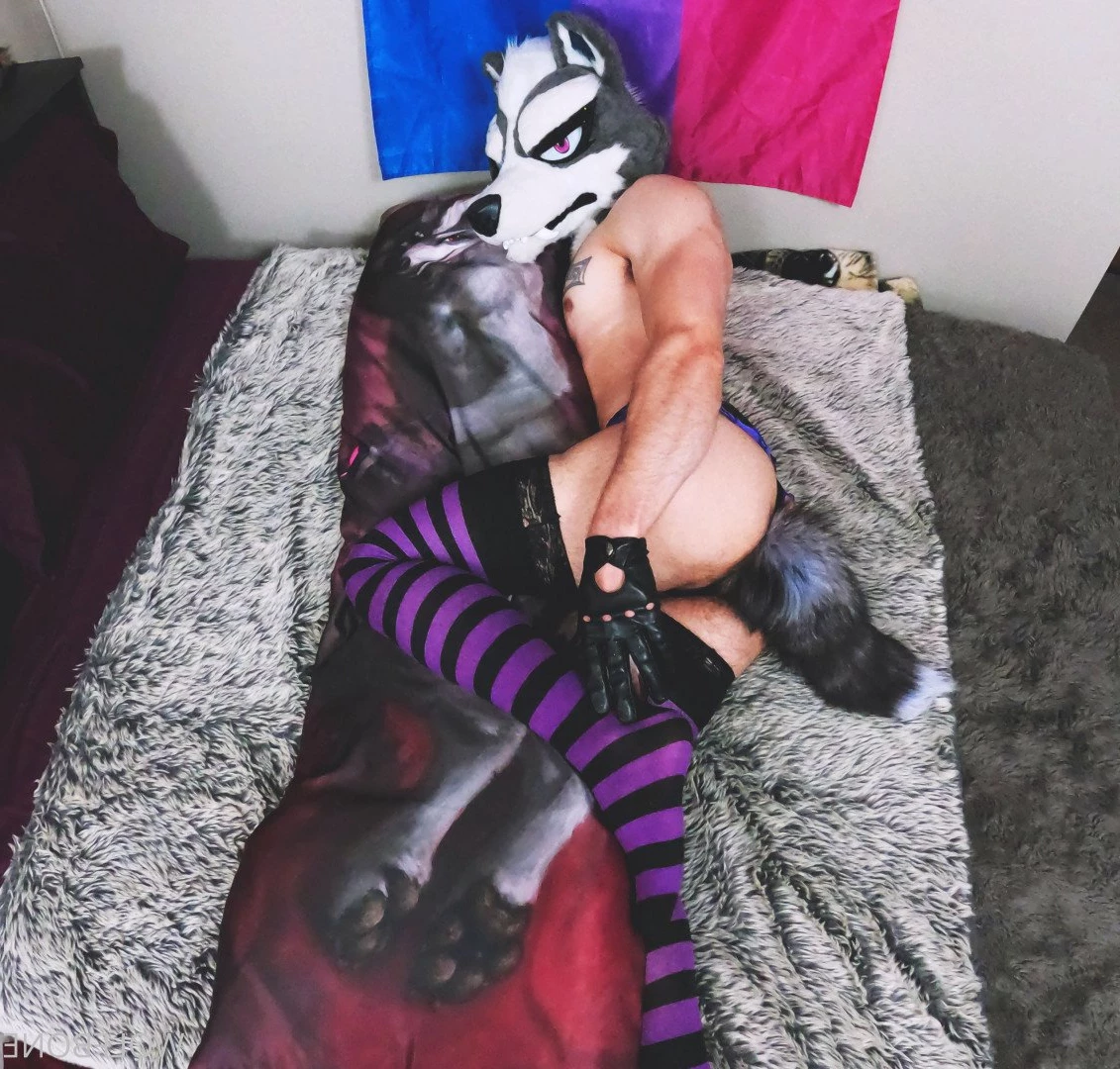 Mr. Wolf 🐺 🌟 [ frute_brute ] Onlyfans leaked photo 3189965 on Hotleaks.tv