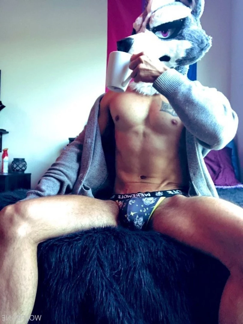 Mr. Wolf 🐺 🌟 [ frute_brute ] Onlyfans leaked photo 3189977 on Hotleaks.tv