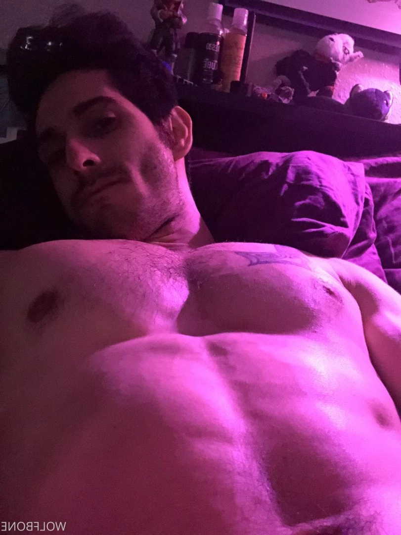 Mr. Wolf 🐺 🌟 [ frute_brute ] Onlyfans leaked photo 3190082 on Hotleaks.tv