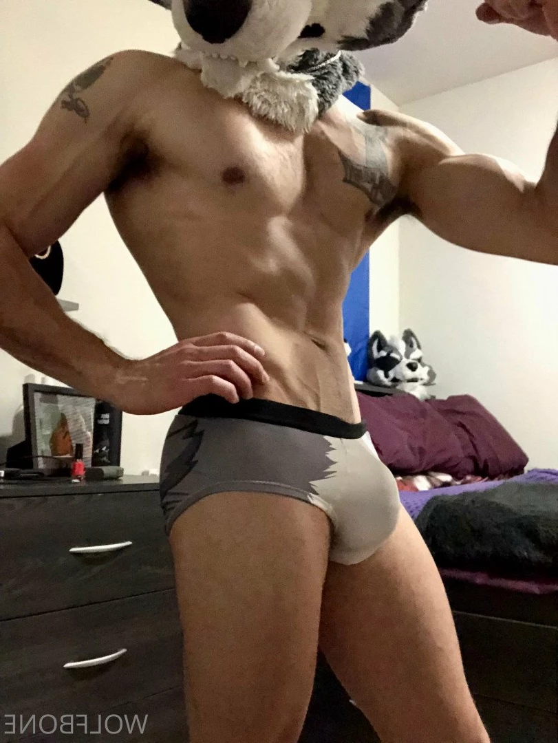 Mr. Wolf 🐺 🌟 [ frute_brute ] Onlyfans leaked photo 3190165 on Hotleaks.tv