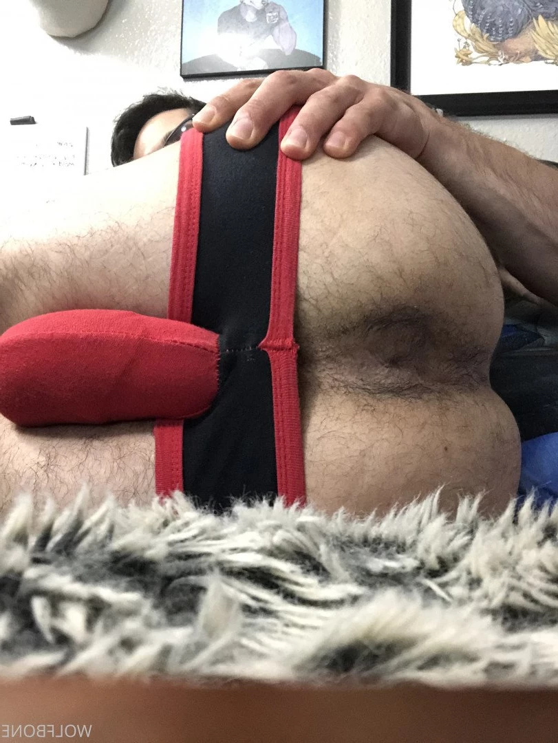 Mr. Wolf 🐺 🌟 [ frute_brute ] Onlyfans leaked photo 3190185 on Hotleaks.tv