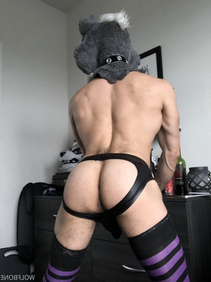 Mr. Wolf 🐺 🌟 [ frute_brute ] Onlyfans leaked photo 3190289 on Hotleaks.tv
